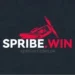 Spribe Win Game